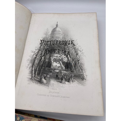 401 - TWO VOLUMES OF PICTURESS AMERICA BY WILLIAM CULLEN BRYANT WITH ILLUSTRATIONS GILT LEATHER BOUND SPIN... 