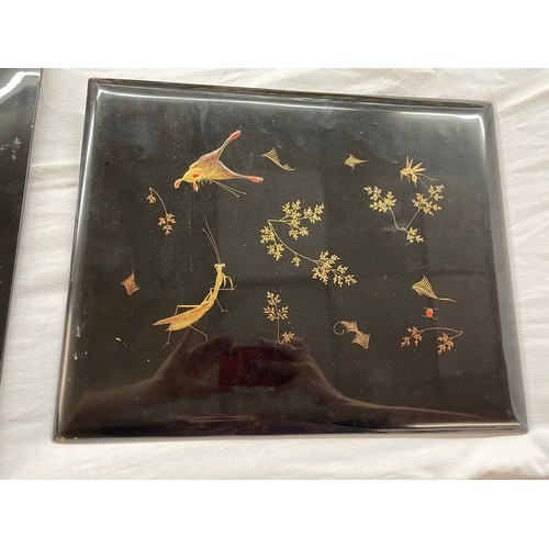 290 - JAPANESE LACQUERED BLOTTER BOARDS DECORATED WITH LEAVES AND INSECTS 32 x 39cm 31cm x 39cm