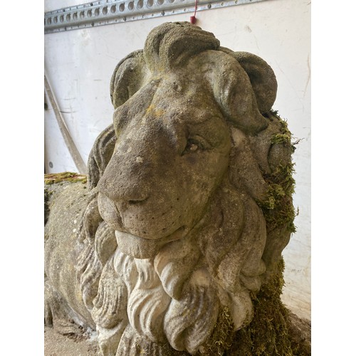 100 - PAIR OF STONE GARDEN DRIVEWAY RECUMBENT LIONS, BASE MEASURES 128CM X 43CM, 70CM HEIGHT (HEAVY LOAD)