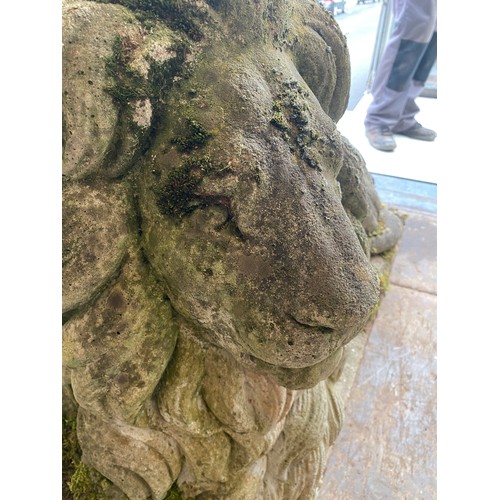 100 - PAIR OF STONE GARDEN DRIVEWAY RECUMBENT LIONS, BASE MEASURES 128CM X 43CM, 70CM HEIGHT (HEAVY LOAD)