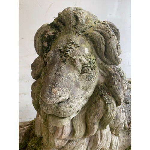 100 - PAIR OF STONE GARDEN DRIVEWAY RECUMBENT LIONS, BASE MEASURES 128CM X 43CM, 70CM HEIGHT (HEAVY LOAD)