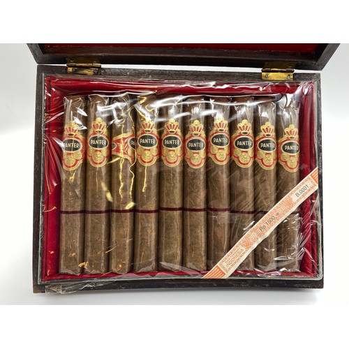 296 - CHIP CARVED CASE OF TEN PANTER CIGARS