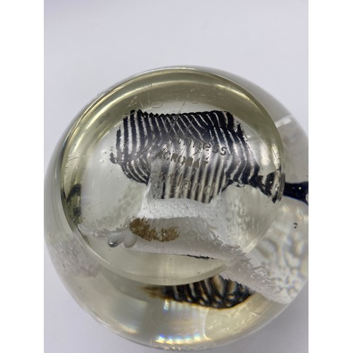 452 - SELECTION OF GLASS PAPERWEIGHTS INC. CAITHNESS (ACROBAT AND FASCINATION), ANIMAL EXAMPLES, ALADDINS ... 