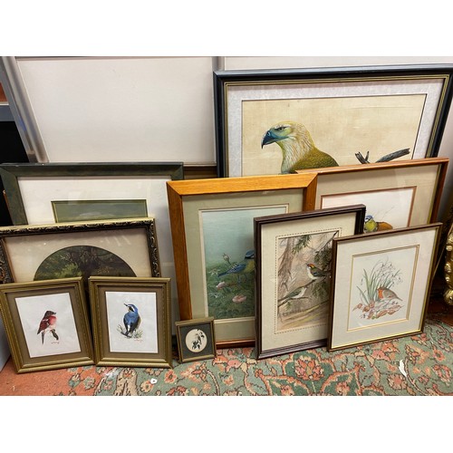 534 - SELECTION OF WATERCOLOURS, LITHOGRAPHIC PRINTS AND PASTELS OF ORNITHOLOGICAL SUBJECTS