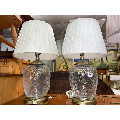 75 - PAIR OF ETCHED OVOID GLASS TABLE LAMPS WITH SHADES