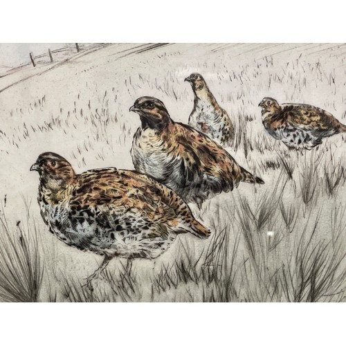 478 - HENRY WILKINSON LIMITED EDITION 38/100 SIGNED IN PENCIL PARTRIDGES FRAMED AND GLAZED