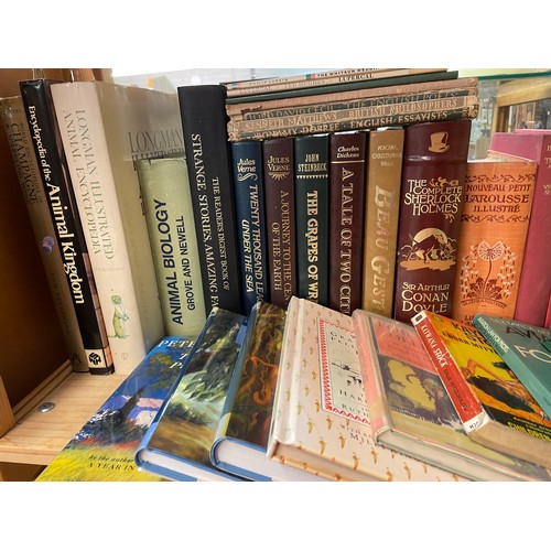 533 - TWO SHELVES OF LEATHER BOUND AND ANTIQUARIAN BOOKS AND OTHER NOVELS