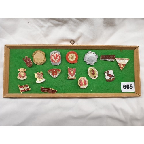 665 - TRAY OF LIVERPOOL FC ENAMEL FOOTBALL LAPEL BADGES