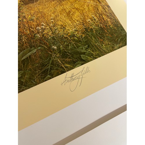 418 - ANTHONY GIBBS PRINT GOLDEN THOUGHTS 204/1000, AND WINTERS GLOW 56/550 SIGNED IN PENCIL WITH BLIND ST... 