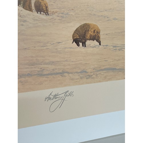 418 - ANTHONY GIBBS PRINT GOLDEN THOUGHTS 204/1000, AND WINTERS GLOW 56/550 SIGNED IN PENCIL WITH BLIND ST... 