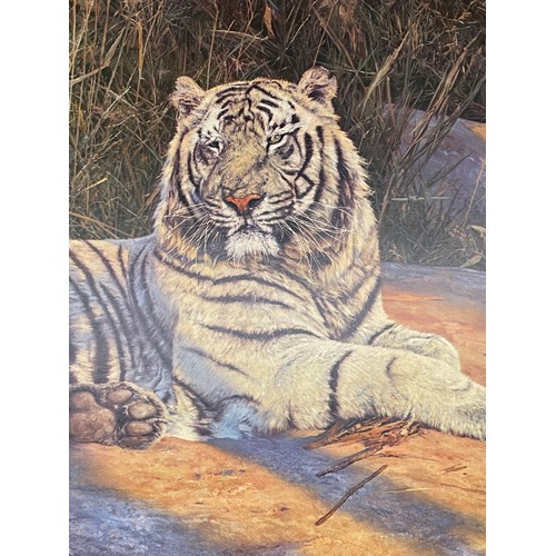 419 - ANTHONY GIBBS PRINTS OF GREAT WHITE TIGER PROOF COPIES SIGNED