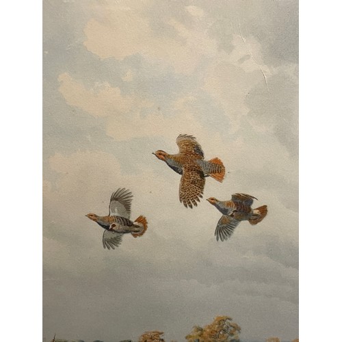 18 - J.G. HARRISON PRINT OF PARTRIDGES IN FLIGHT SIGNED IN PENCIL FRAMED AND GLAZED (H: 41.5cm W: 53cm)