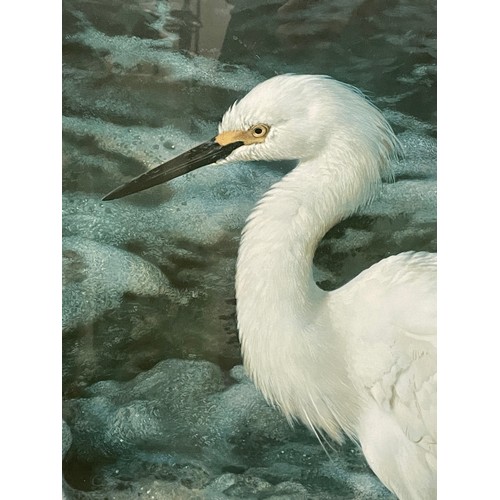 170 - LIMITED EDITION PRINT BY CARL BRENDERS OF ISLAND SHORES - SNOWY EGRET (H: 56.5cm W: 76cm)