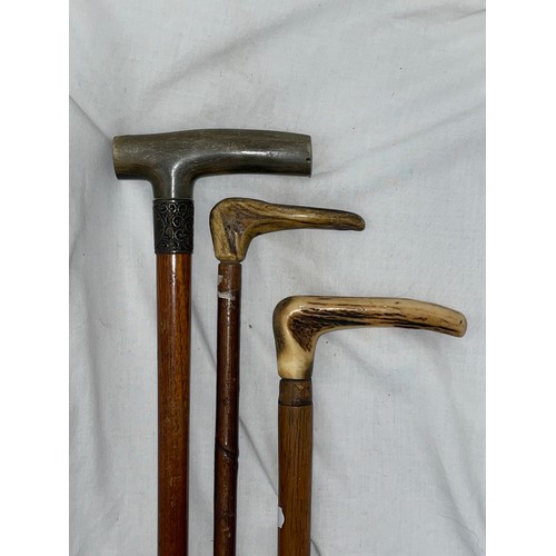 549 - THREE HORN HANDLED WALKING STICKS