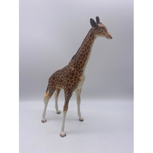 489 - BESWICK MODEL OF A GLOSS GIRAFFE