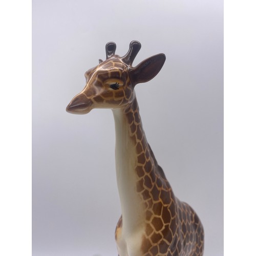 489 - BESWICK MODEL OF A GLOSS GIRAFFE