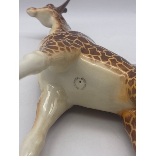 489 - BESWICK MODEL OF A GLOSS GIRAFFE