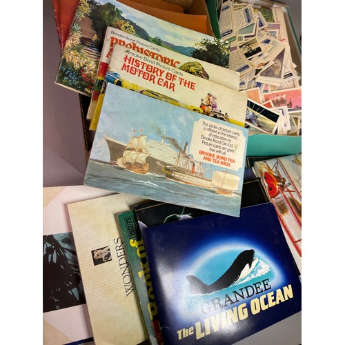 504 - SELECTION OF BROOKE BOND TEACARD ALBUMS, GRANDEE TOBACCO CARDS AND SHOE BOX OF MISCELLANEOUS TEA CAR... 