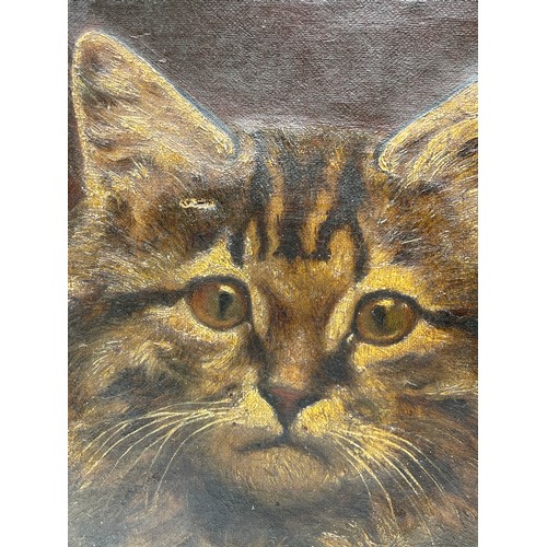 514 - LATE 19TH CENTURY OIL ON CANVAS UNSIGNED PORTRAIT OF A CATS HEAD UNFRAMED