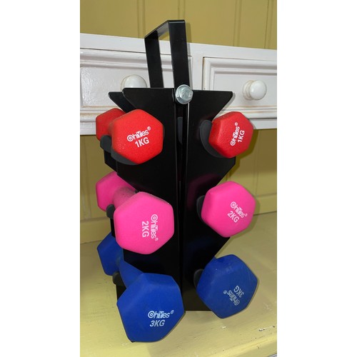 34 - DUMB BELL WEIGHTS ON STAND AND LEG EXERCISER