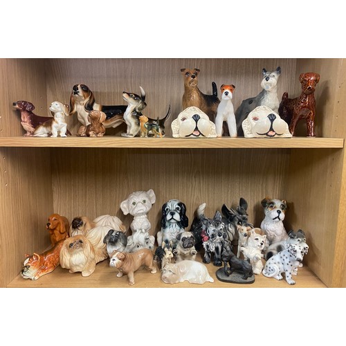 198 - TWO SHELVES OF POTTERY AND PORCELAIN DOGS TERRIERS AND DASCHUNDS MAINLY