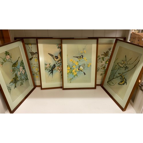 191 - SET OF SIX BIRD PRINTS AFTER BASIL EDE FRAMED AND GLAZED