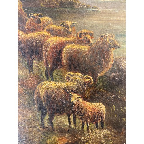 751 - EARLY 20TH CENTURY OIL ON CANVAS OF SHEEP IN A HIGHLAND LANDSCAPE