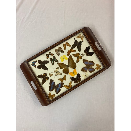 715 - WOODEN PARQUETRY BORDED SERVING TRAY WITH ENCASED BUTTERFLIES