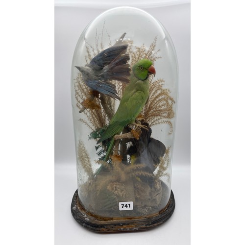 741 - 19TH CENTURY TAXIDERMIC OF THREE BIRDS IN NATURALISTIC SETTING UNDER GLASS DOME