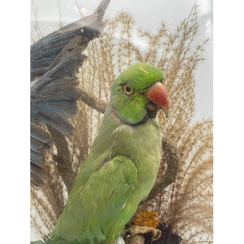 741 - 19TH CENTURY TAXIDERMIC OF THREE BIRDS IN NATURALISTIC SETTING UNDER GLASS DOME