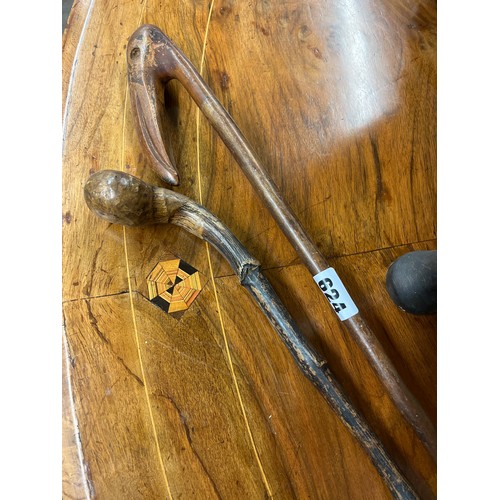 624 - BIRD HEADED WALKING CANE AND GNARLED WALKING CANE