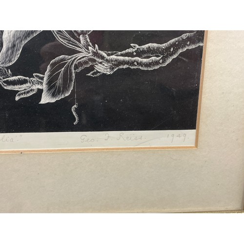 591 - GEORGE F REISS PRINT 21/70 ENTITLED BRANCH OF MAGNOLIA SIGNED AND DATED IN PENCIL 1949 FRAMED AND GL... 