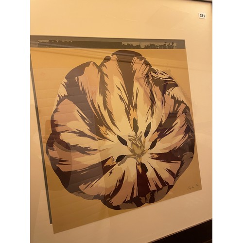 211 - LIMITED EDITION PRINTS SIGNED IN PENCIL 9/90 FLOWER HEADS A PAIR 52CM X 52CM APPROX