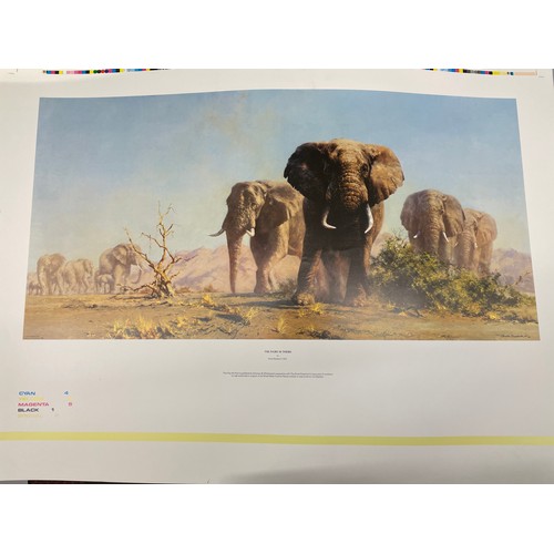 449 - SELECTION OF LITHOGRAPHIC PRINTS OF WILD LIFE DAVID SHEPPARDS AND OTHERS