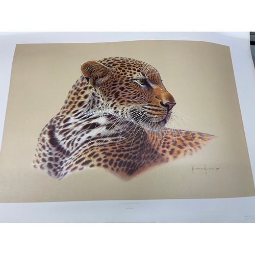 449 - SELECTION OF LITHOGRAPHIC PRINTS OF WILD LIFE DAVID SHEPPARDS AND OTHERS