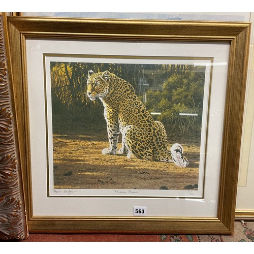 563 - LIMITED EDITION PRINT 271/391 PERSIAN PRINCE SIGNED IN PENCIL BY STEPHEN GAYFORD FRAMED AND GLAZED