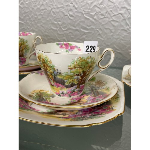 229 - SHELLEY BONE CHINA ENGLANDS CHARM TEASET