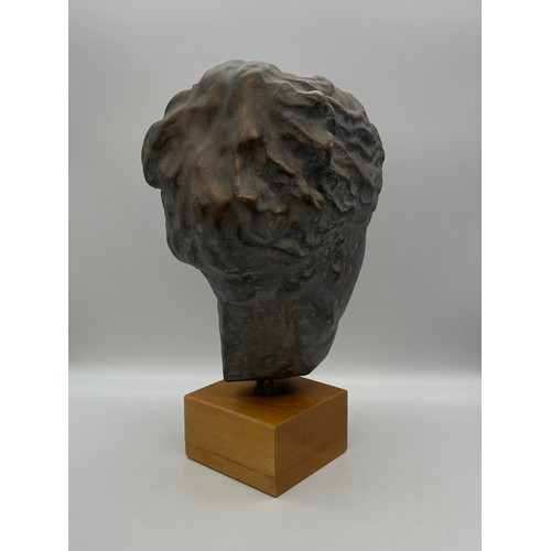 368 - PATINATED BUST OF THE GODESS HYGIEIA