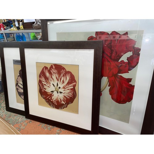 643 - SELECTION OF LARGE LIMITED PRINTS OF FLOWERS FRAMED AND GLAZED