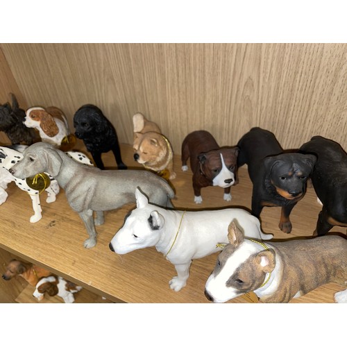 263 - TWO SHELVES OF LEONARDO COLLECTION DOG FIGURES