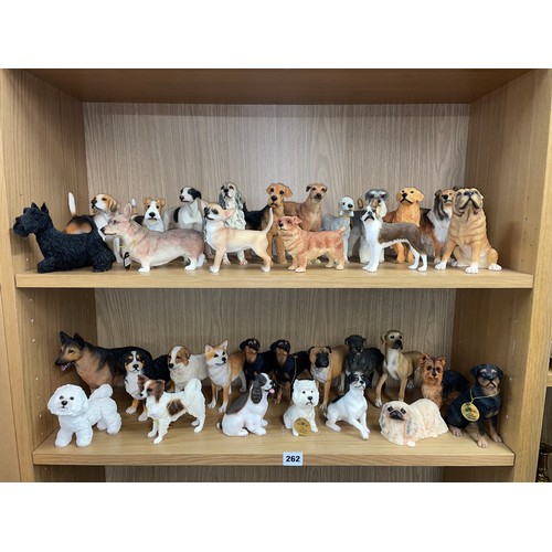 262 - TWO SHELVES OF LEONARDO COLLECTION RESIN DOG FIGURES