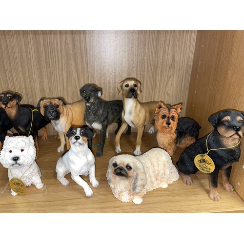 262 - TWO SHELVES OF LEONARDO COLLECTION RESIN DOG FIGURES