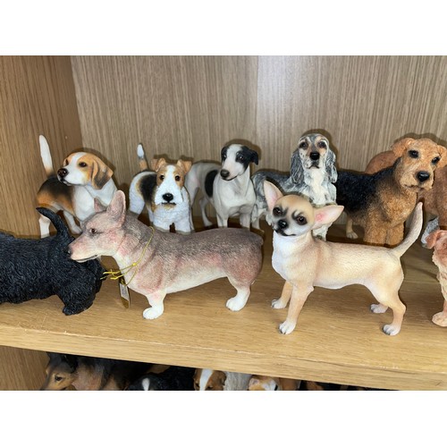 262 - TWO SHELVES OF LEONARDO COLLECTION RESIN DOG FIGURES