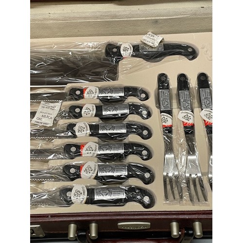 499 - CASED SOLINGEN 24 PIECE DELUXE KNIFE SET