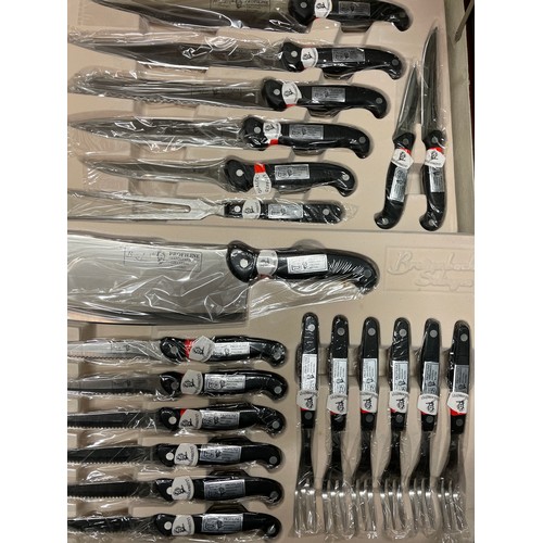 501 - CASED SOLINGEN 24 PIECE DELUXE KNIFE SET