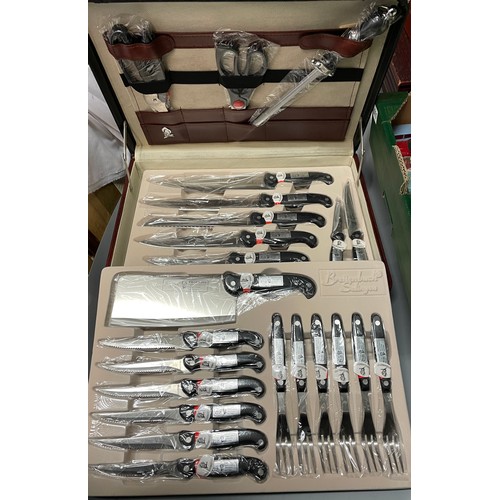 503 - CASED SOLINGEN 24 PIECE DELUXE KNIFE SET HANDLE A/F