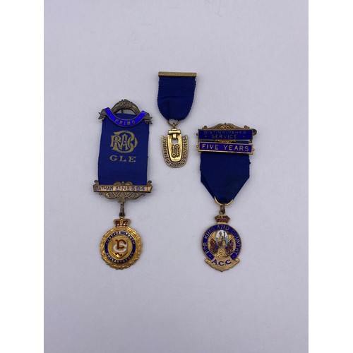 478 - 9CT GOLD AND ENAMEL ROYAL AND ANCIENT ORDER OF THE BUFFALO MEDALLION ON RIBBON 6.9G APPROX, AND A SI... 