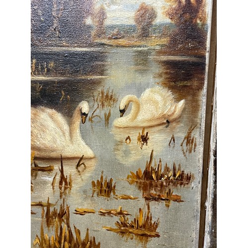 214 - S.G MARLEY OILS ON CANVAS SWANS IN AN AUTUMN LAKE SCAPE SIGNED UNFRAMED