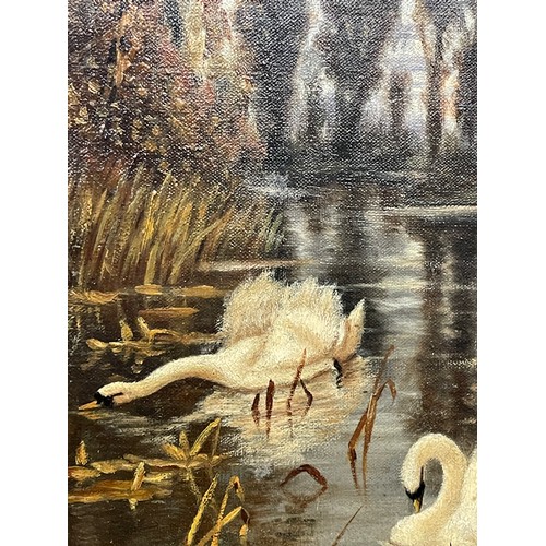 214 - S.G MARLEY OILS ON CANVAS SWANS IN AN AUTUMN LAKE SCAPE SIGNED UNFRAMED