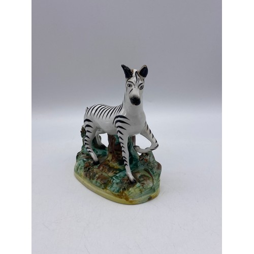 529 - 19TH CENTURY STAFFORDSHIRE FIGURE OF A ZEBRA